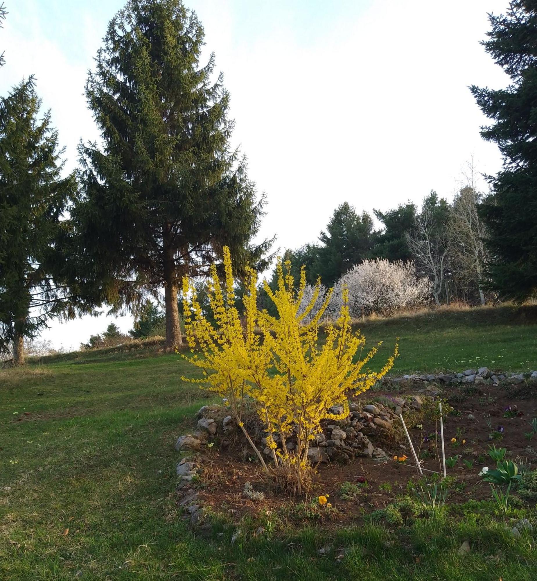 Apartmani Planinska Kuca, Jagodnja Krupanj Εξωτερικό φωτογραφία
